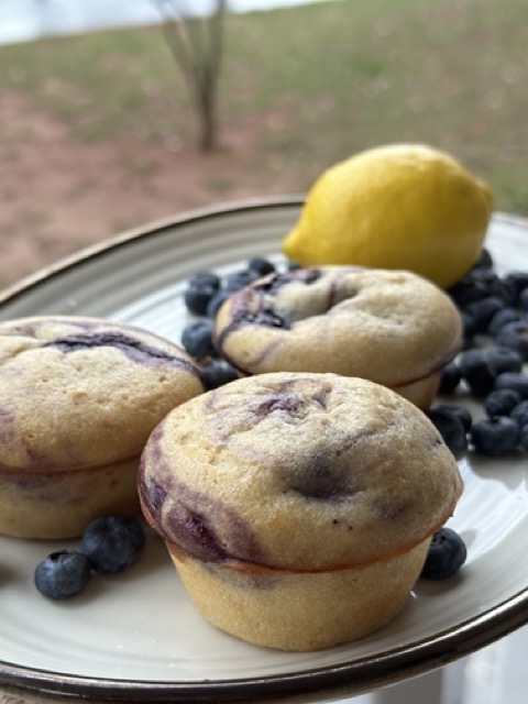 Blueberry Lemon Protein Muffin